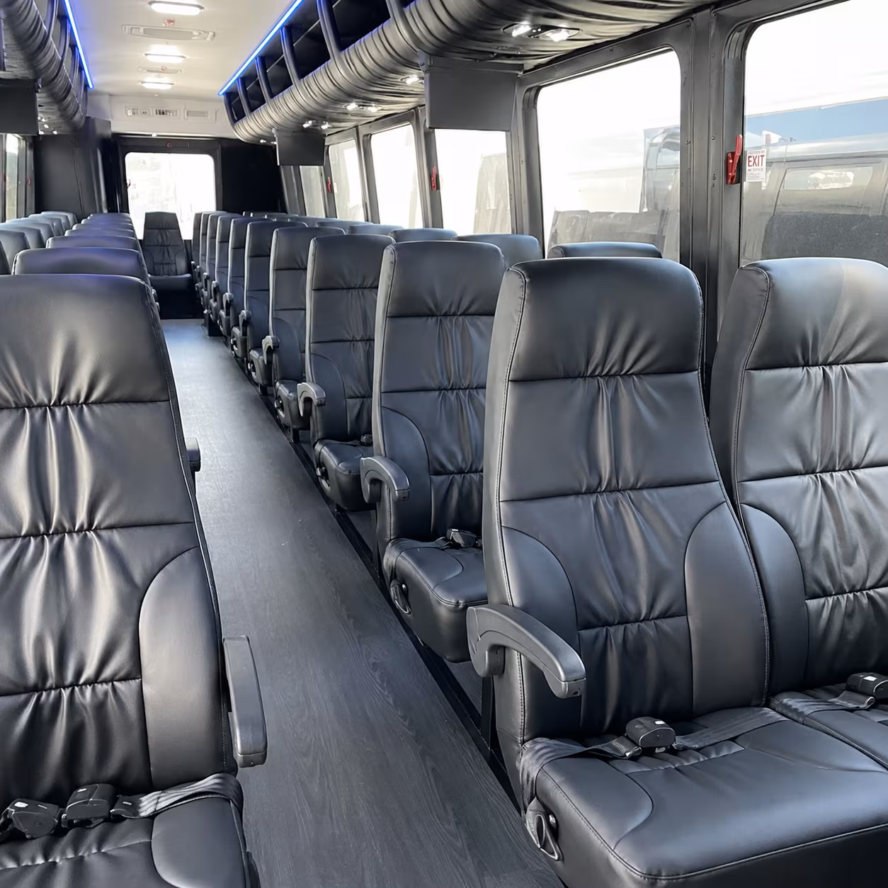 vista concert transportation